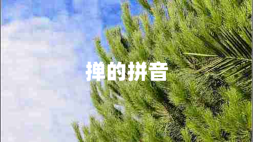 撣的拼音
