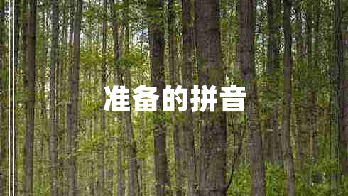 準備的拼音
