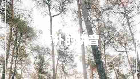 淳樸的拼音