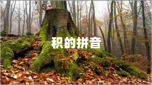 積的拼音