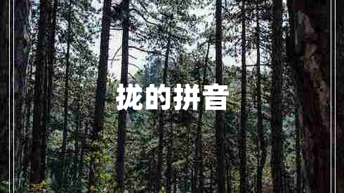 攏的拼音