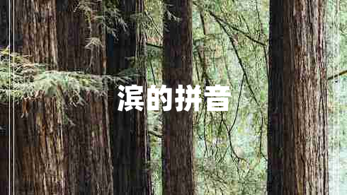 濱的拼音