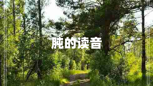 肫的讀音