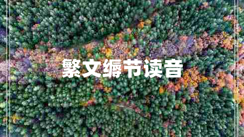 繁文縟節讀音