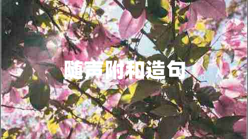 隨聲附和造句