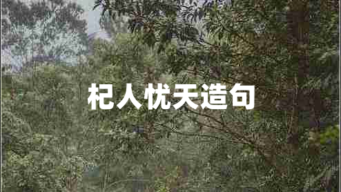 杞人憂(yōu)天造句
