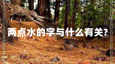 兩點水的字與什么有關(guān)?