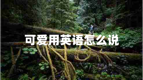可愛(ài)用英語(yǔ)怎么說(shuō)