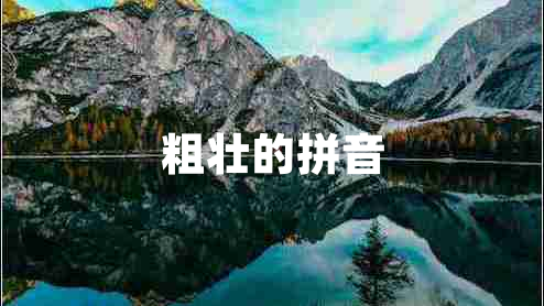 粗壯的拼音