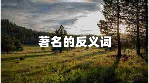 著(zhù)名的反義詞