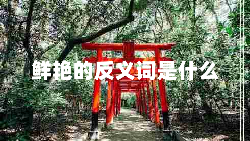 鮮艷的反義詞是什么