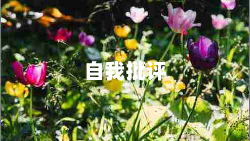 自我批評