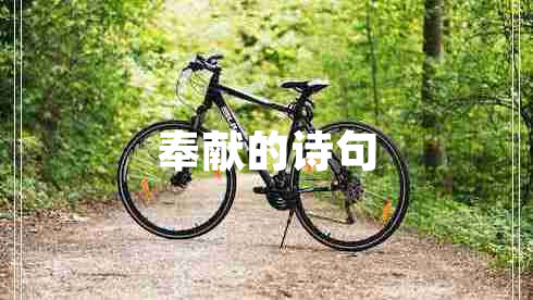 奉獻的詩(shī)句