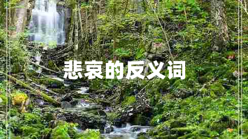 悲哀的反義詞