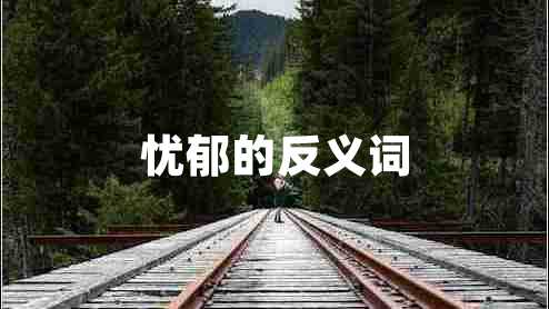 憂(yōu)郁的反義詞