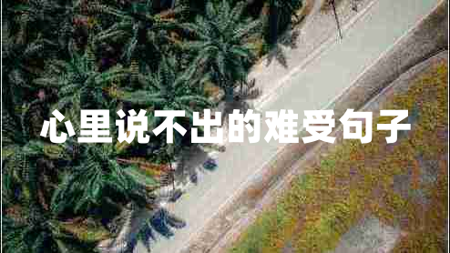 心里說(shuō)不出的難受句子