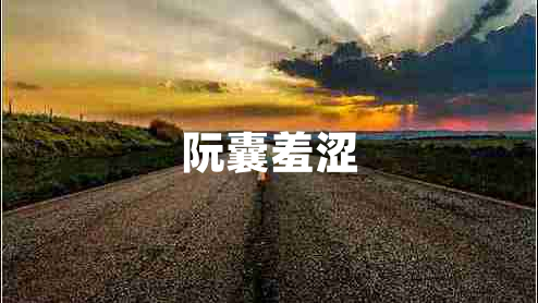 阮囊羞澀