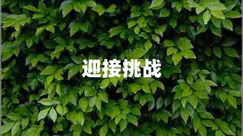 迎接挑戰