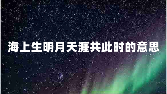 海上生明月天涯共此時(shí)的意思