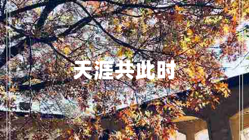 天涯共此時(shí)