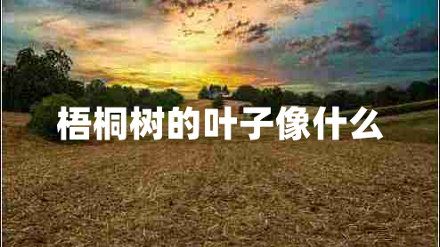 梧桐樹(shù)的葉子像什么