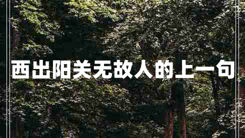西出陽(yáng)關(guān)無(wú)故人的上一句