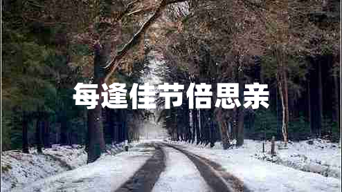每逢佳節倍思親