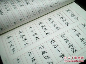書法進校園四百字作文
