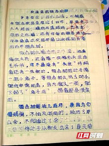 描寫校園的作文300字,描寫校園的作文300字三年級的作文,描寫校園的作文800字初中