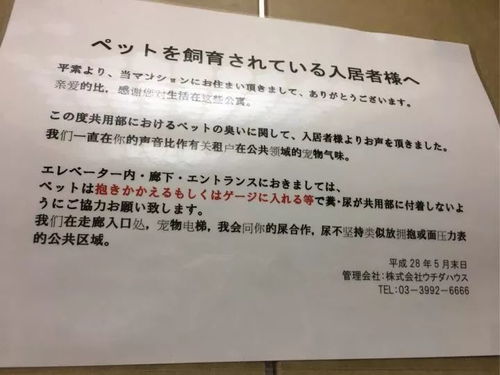 如何看待校園外賣(mài)的英語(yǔ)作文