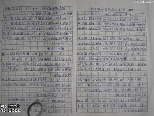 紀事,中考,滿分作文,校園