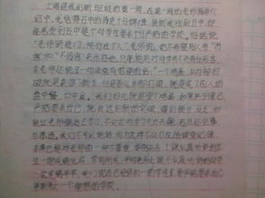 作文到新校園的感想