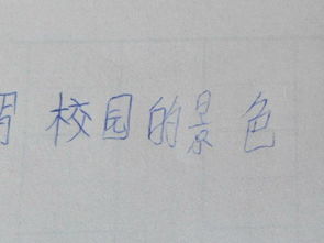 關(guān)于校園風(fēng)景的作文230字