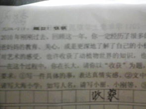桃樹,作文,校園