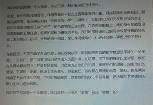 新灣鎮的校園作文800字