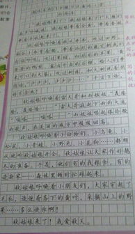 作文,有誰(shuí)知道,校園