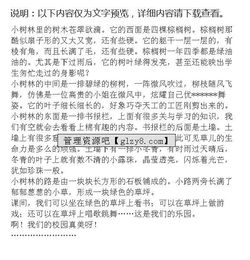 校園一角作文的板書(shū)