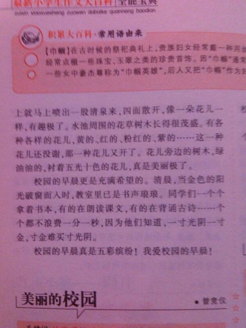 描寫校園活動的作文580