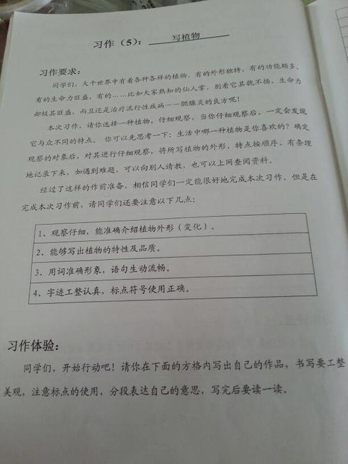 校園的變化四百字作文怎么寫(xiě)