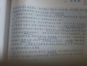 描寫(xiě)校園景物的小作文100字左右