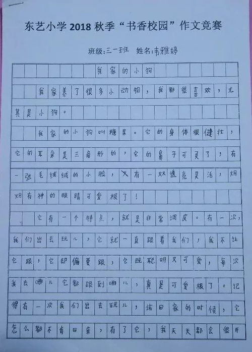 作文,校園,活動