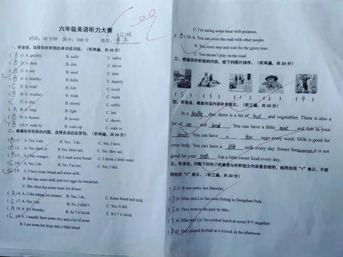 詢(xún)問(wèn)對方校園英語(yǔ)作文