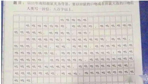 第一次走進(jìn)小學(xué)校園感受作文