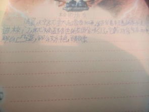 作文校園訪(fǎng)友450字.