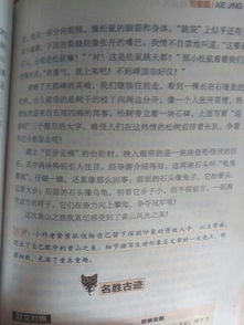 作文,最美,人物,校園