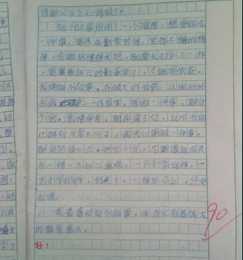 小學校園晨景作文800字