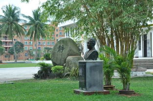 校園一角操場(chǎng)400字作文400字