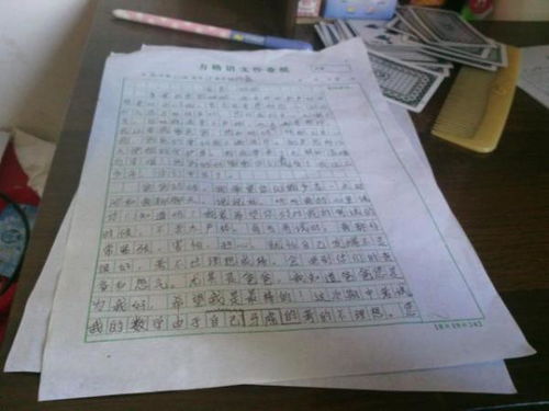 校園元旦作文800