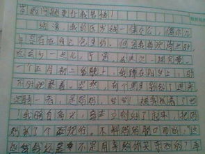 校園的一角七年級(jí)作文600字操場(chǎng),校園的一角作文300字七年級(jí),九月的校園作文600字七年級(jí)