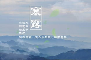 寒露時(shí)節的校園作文